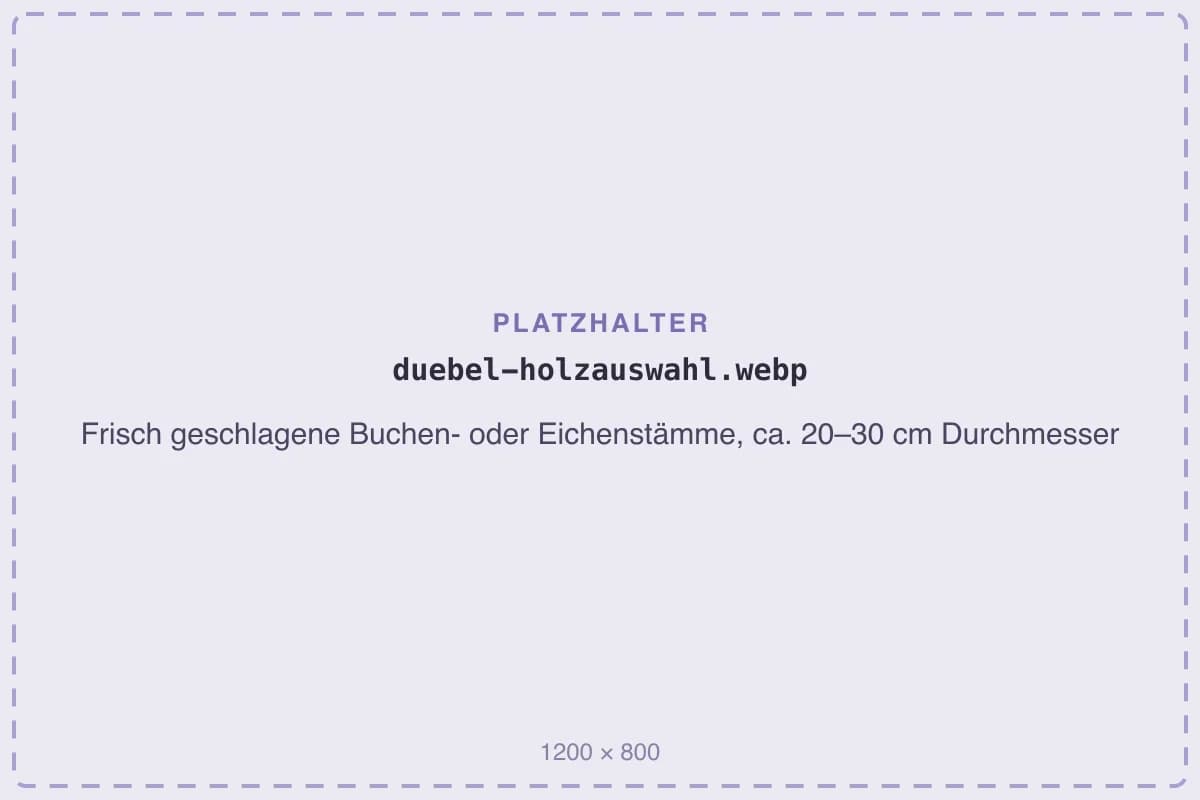 Frisch geschlagene Buchen- oder Eichenstämme, ca. 20–30 cm Durchmesser